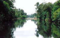 Nepean River